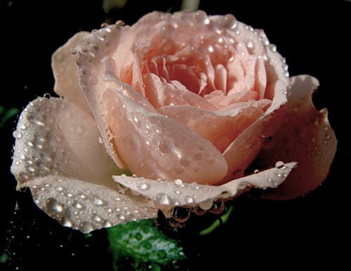 Татьяна Васильева