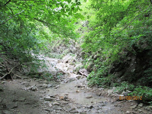 Людмила Комарова