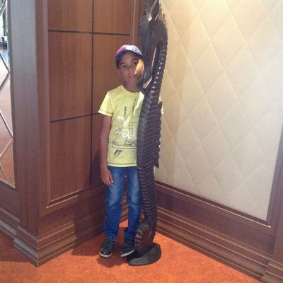 Рустам Сафин