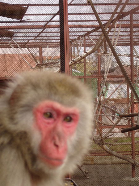 Юрий Ощепков