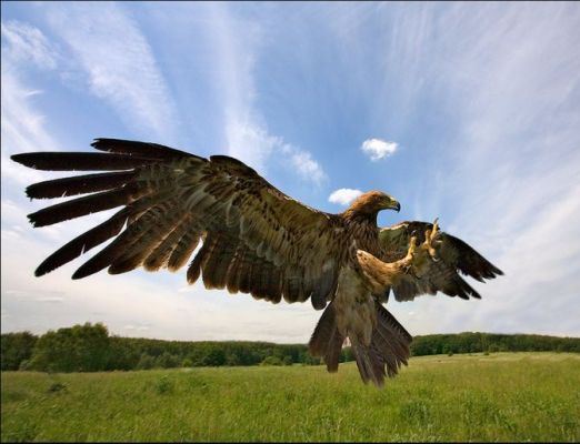 Сергей Юрин