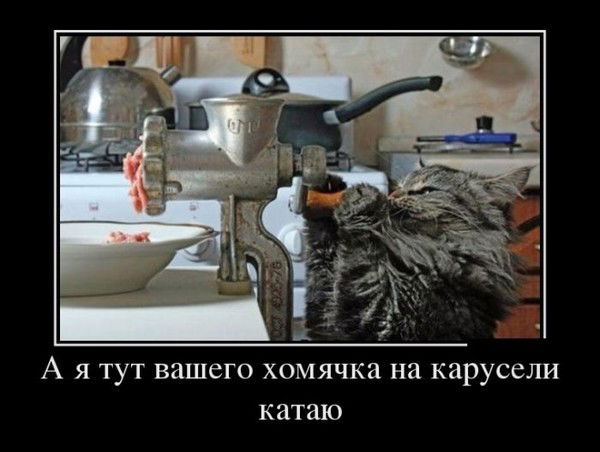 Константин Курочкин