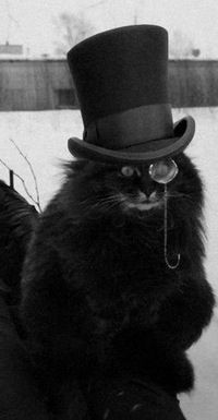 Андрей Маньшин