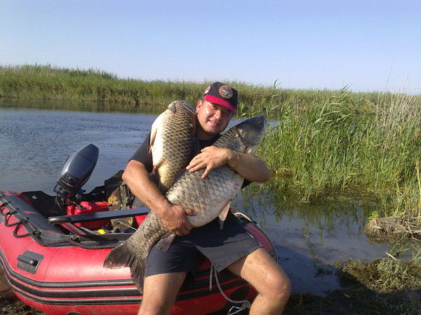 Вадим Шкумат