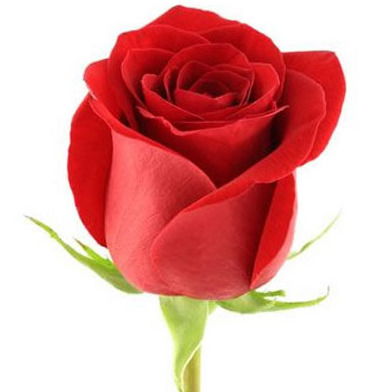 Мунира Шерметова