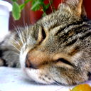 Алексей Мурашко