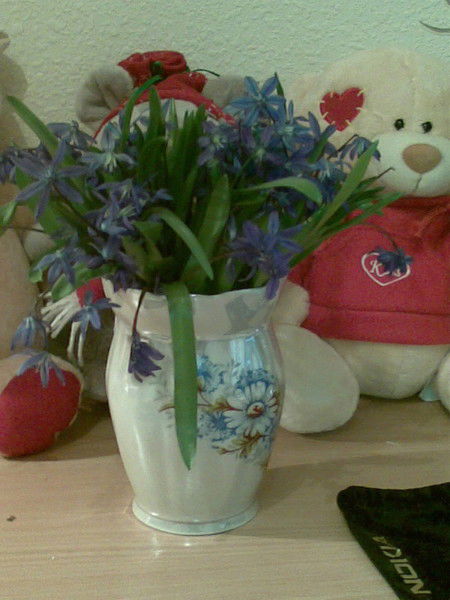 Елена Коваленко