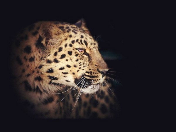 Наргиза Ишметова