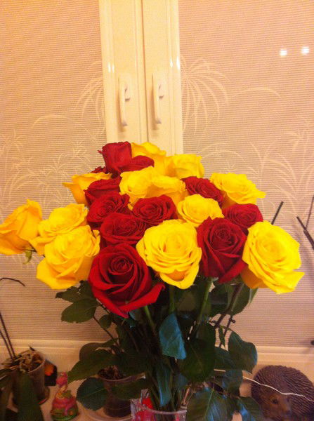 Ольга Беркович