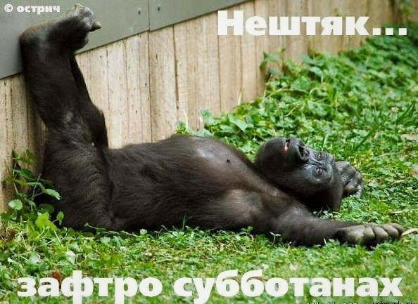 Валентин Торсионный