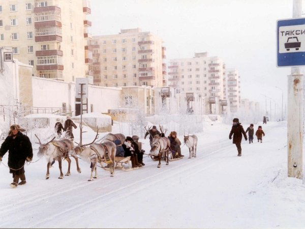 Сергей Курищенко