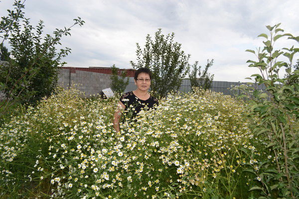 Жанслу Исингалиева