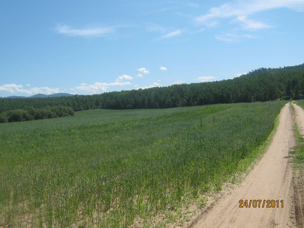 Андрей Карпов