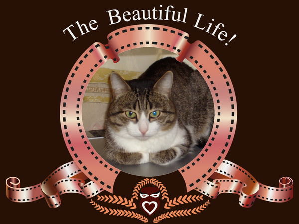 Белобородова Ольга