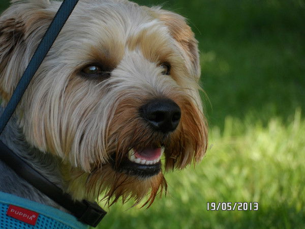 Михаил Казначеев