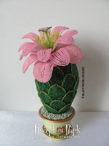 Анна Пчелинцева