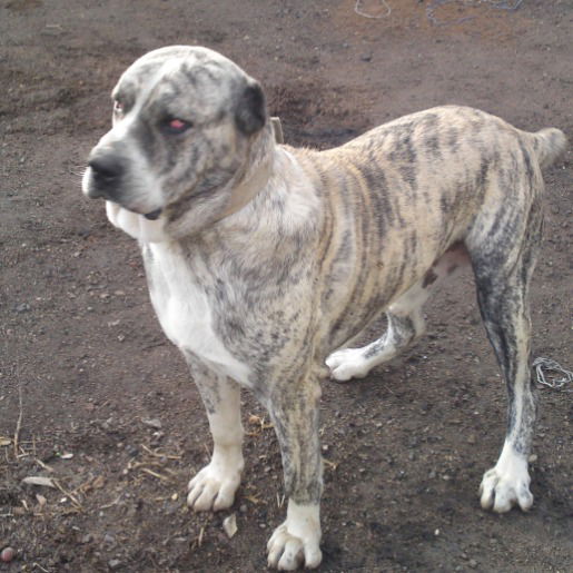 Валера Валера