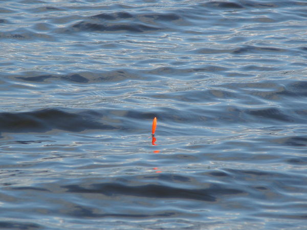 Вячеслав Витальевич