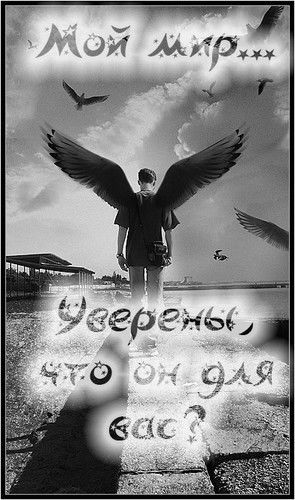 Александр Приходько