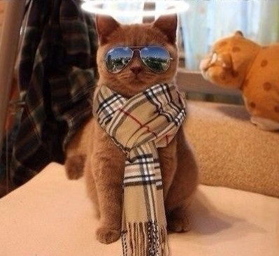 Altayev.akm @mail.ru