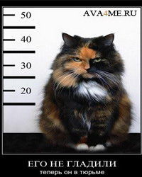 Алексей Калашов