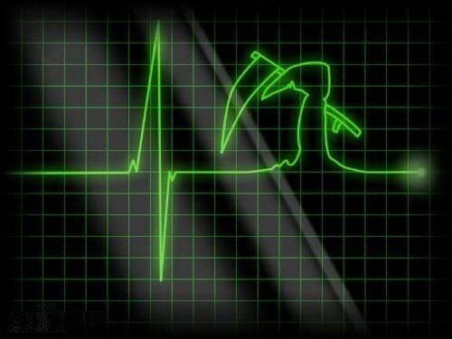 Татьяна Палаткина