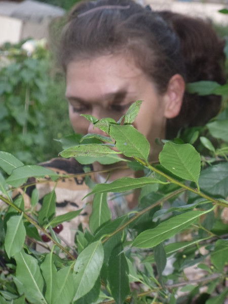 Светлана Шаймарданова