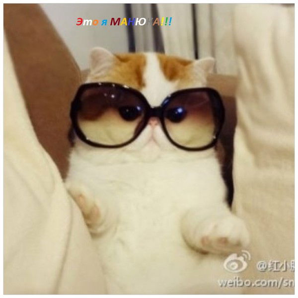 Олег Бровкин