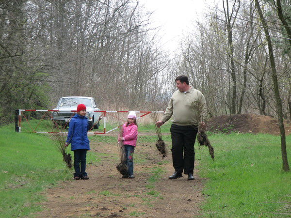 Дмитрий Ровнин