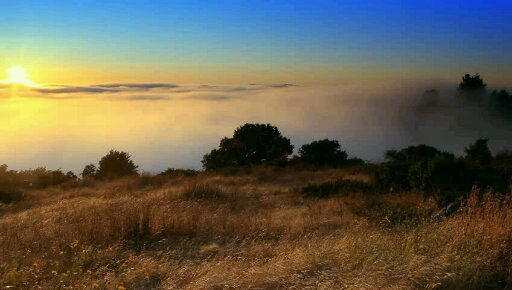 Уткин Михаил