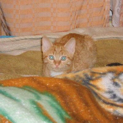 Василиночка Хорошилова