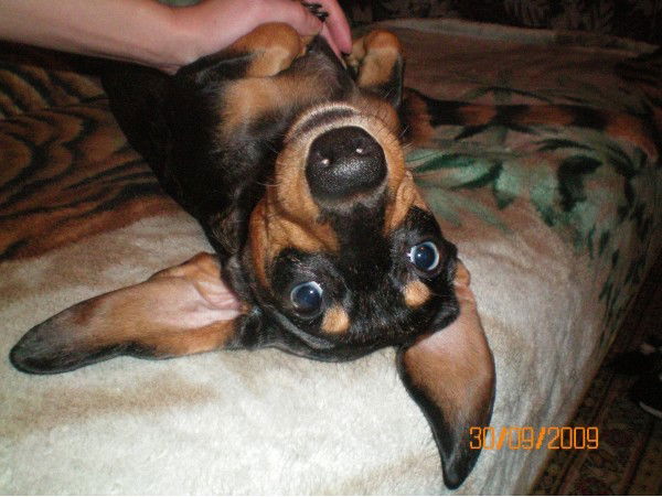 Евгений Кот