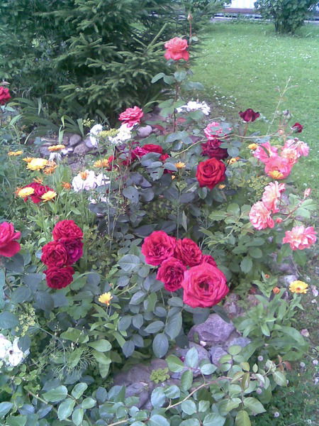 Харитон Харитонов