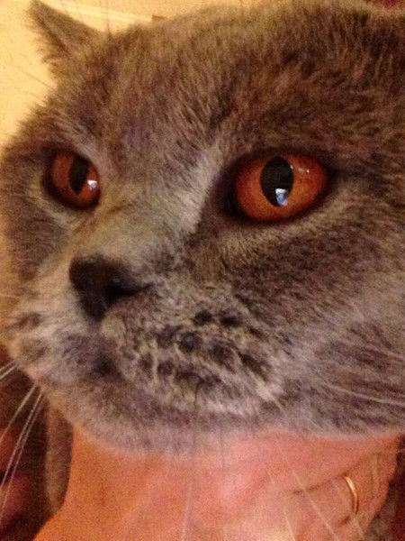 Ирина Гущина