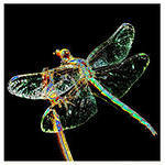 Иван Первов