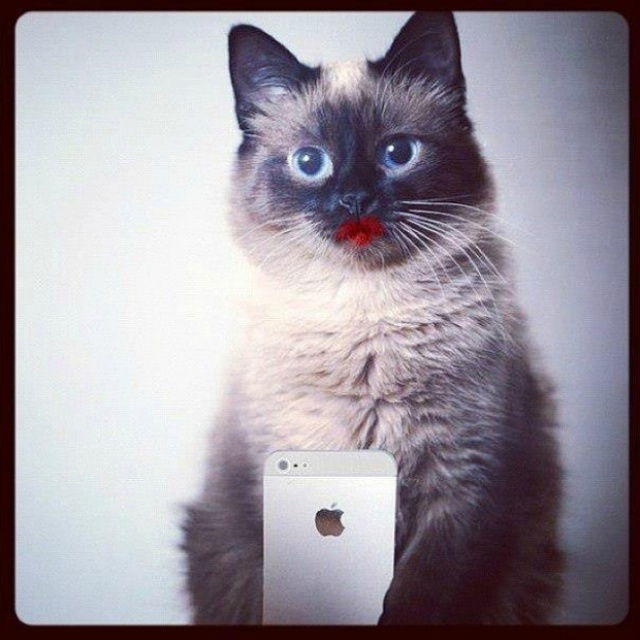 Анна Баратынская