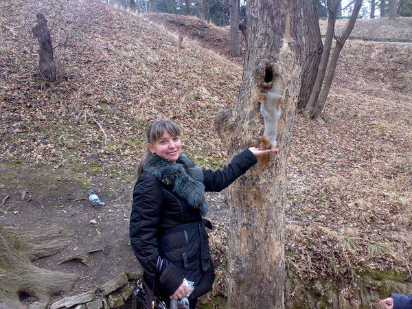 Елена Кудрявцева