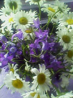 Марина Попова