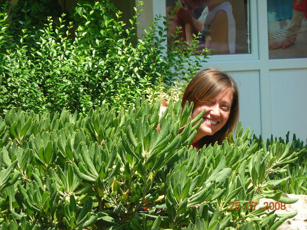 Елена Дмитриева