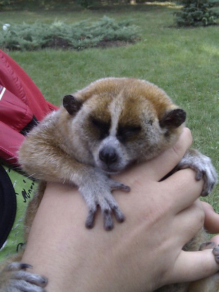 Оля Ермоленко