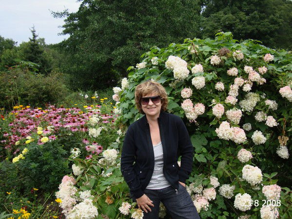 Елена Сергеева