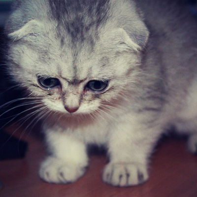 Сергей Мотяков