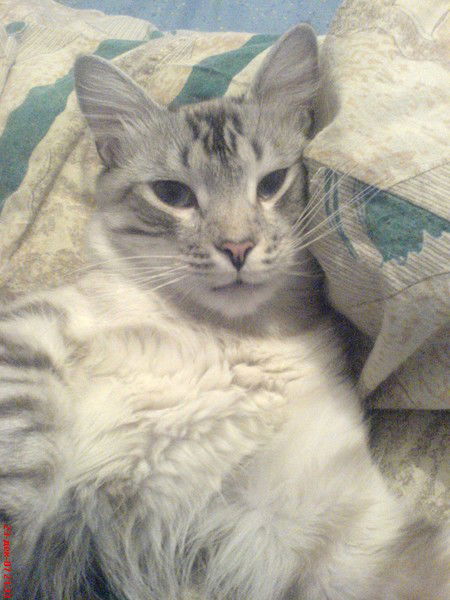 Надежда Ващилко