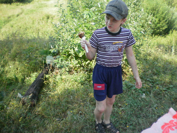 Владимир Трефилов