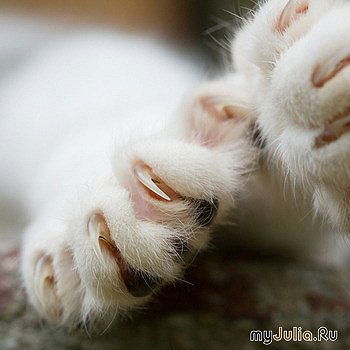 Катерина Леонова