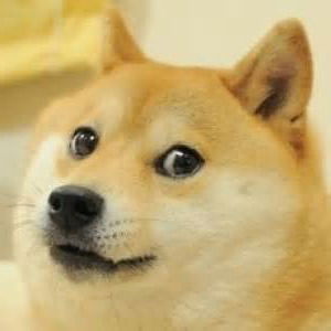 Дима Соколин