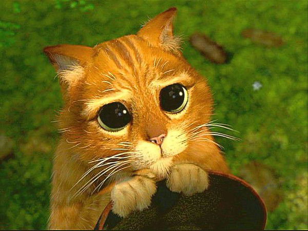 Александр Кузнецов