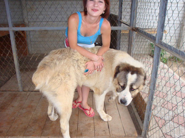 Мария Малыч