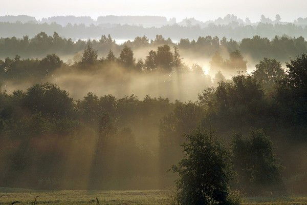 Андрей Недашковский