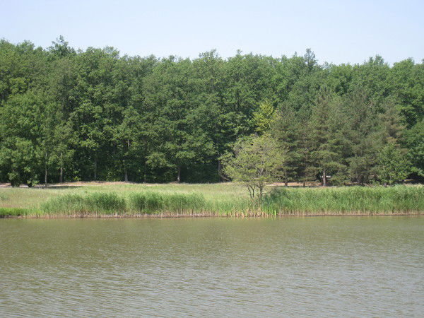 Юлия Литвиненко